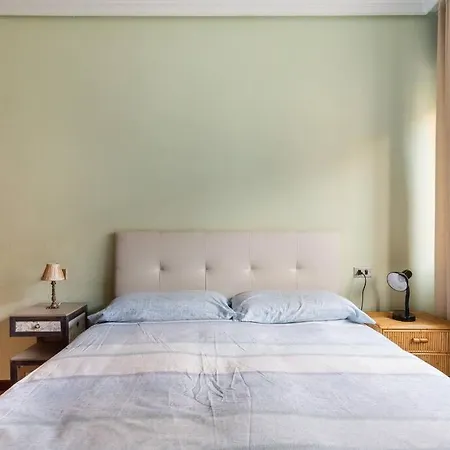 Daire Centro De Con Paking Gratuito